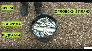 Севастополь рыболовная компания