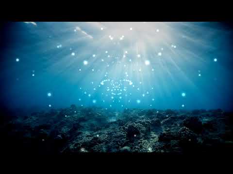 🌊🌊🐟sleeperspaceborn   never grow old(no copyright free)