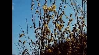 by this river - you&#39;ll never get to heaven