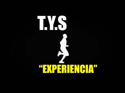 T.Y.S - EXPERIENCIA