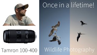 Once in a Lifetime Photography! - Wildlife with Nikon Z6 II