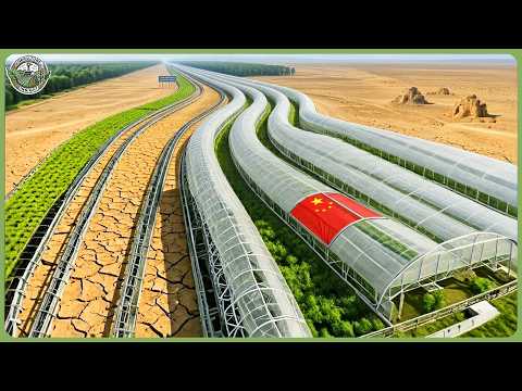 How China Turned Barren Desert Into Massive Farmland Producing Millions Tons of Food