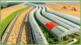 How China Turned Barren Desert Into Massive Farmland Producing Millions Tons of Food