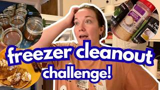 Vlog #393| Freezer Cleanout Challenge! Use it up challenge!