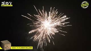 *Straatvideo* Ti Flower Willows - Professional Style - GBV WECO - Vuurwerk.nl - 6039