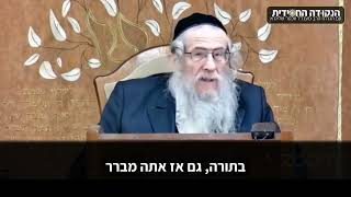 הגה״ח הרב ווכטר שליט״א | שלושה סוגי בירורים בעולם (הרב אברהם מנחם מענדל וכטר) - התמונה מוצגת ישירות מתוך אתר האינטרנט יוטיוב. זכויות היוצרים בתמונה שייכות ליוצרה. קישור קרדיט למקור התוכן נמצא בתוך דף הסרטון