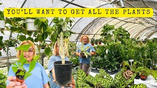 This Nursery Has the Best Selection at the Best Prices