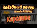 Каролина - Звёздный вечер Yamaha PSR E443 