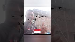 Download lagu sp alam Bima sakti karya Tandi Joss alam semesta 🇮🇩🇮🇩 mp3