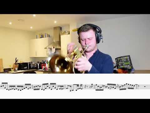 the smoothest flugelhorn solo ever (Gonna Fly Now Transcription)