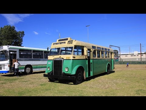 HCVA Leyland Rally 2015: 52783H (Ex-DRT&T 2599) Leyland OPS2/1 31-seater (Comeng)