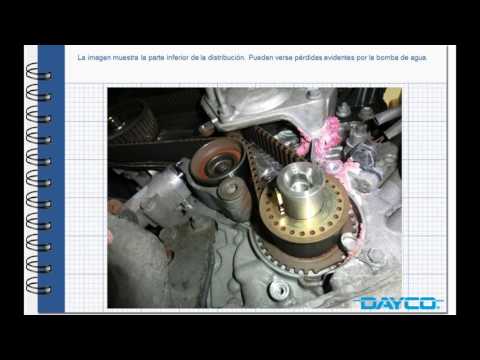 DAYCO - Montaje kit de distribución Lexus RX 400 H - Motor: 3MZ-FE