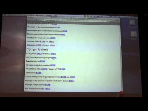 Ahern's Biochemistry #26 - Glycogen Metabolism II