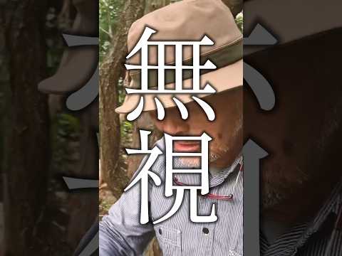 jardin-alpin-idées-conseils-déco-galets