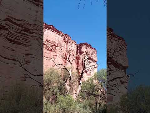 Psrque Nacional Talampaya (La Rioja):15/03/2026!
