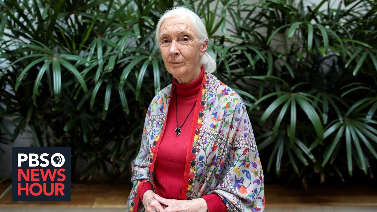 Jane Goodall on animal-human interconnectedness amid the pandemic