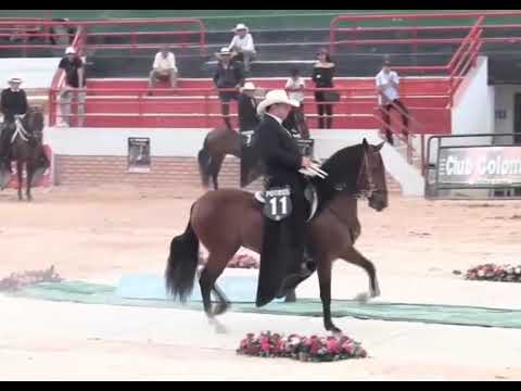 Titan de San Sebastián 🐎