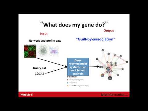 Gene Function Prediction