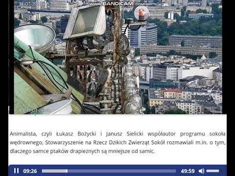 Polskie Radio RDC - 10-07-2021- w audycji Animalista: wywiad z Januszem Sielickim