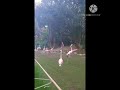 Flamingos At The LA Zoo