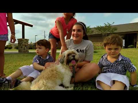 Check out these Amazing New Homes in Katy Texas!!!