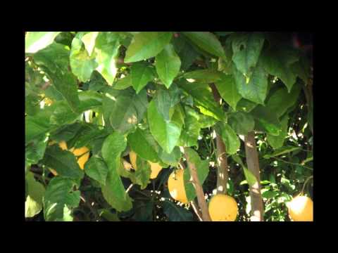 B&B Rosi Sardegna-Costa Rei