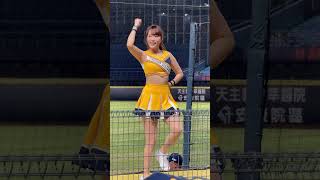 《Passion Sisters》白白_高宇杰應援曲（台湾チアリーディングチーム 2024/6/18）