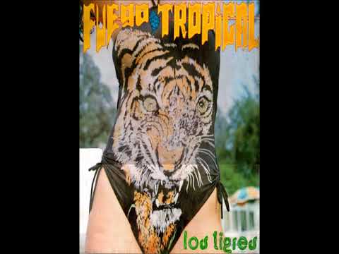Selecciòn de cumbias   Los Tigres