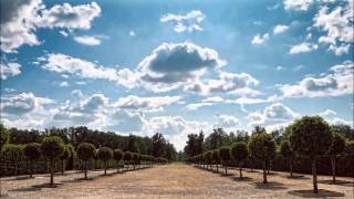 THYME -Voices In My Head