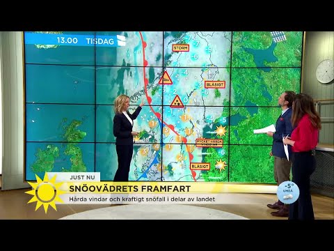 Snöovädrets framfart – "Här kan det bli MYCKET bevärligt på vägarna" - Nyhetsmorgon (TV4)