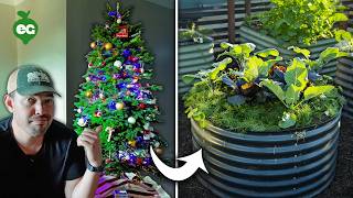 How Smart Gardeners Use Their Old Christmas Trees🎄