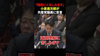 【覚醒】共産党議員に苦言を呈す小泉進次郎【自民党/高市早苗】#小泉進次郎 #自民党