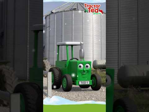 Was wird Traktor-Ted heute auf dem Bauernhof entdecken? Tür 14 ist offen! #Shorts