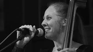 Crocodile Song (Janis Ian) / Cinnamon Moon