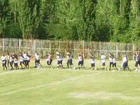 Sharks @ Bedemi by Sardinice