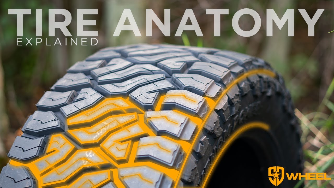 Anatomy of a Tire