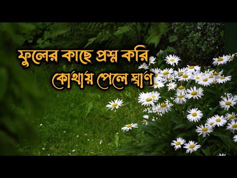Fuler Kache Proshno kori /ফুলের কাছে প্রশ্ন করি। \আল্লাহর প্রশংসায় গজল / Tune hut..!!