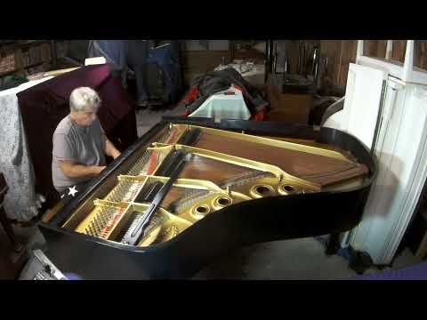 STEINWAY & SONS 5’11 – 1/2 model ” L ” grand piano image 5