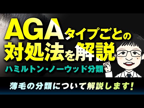 分類について詳しく解説