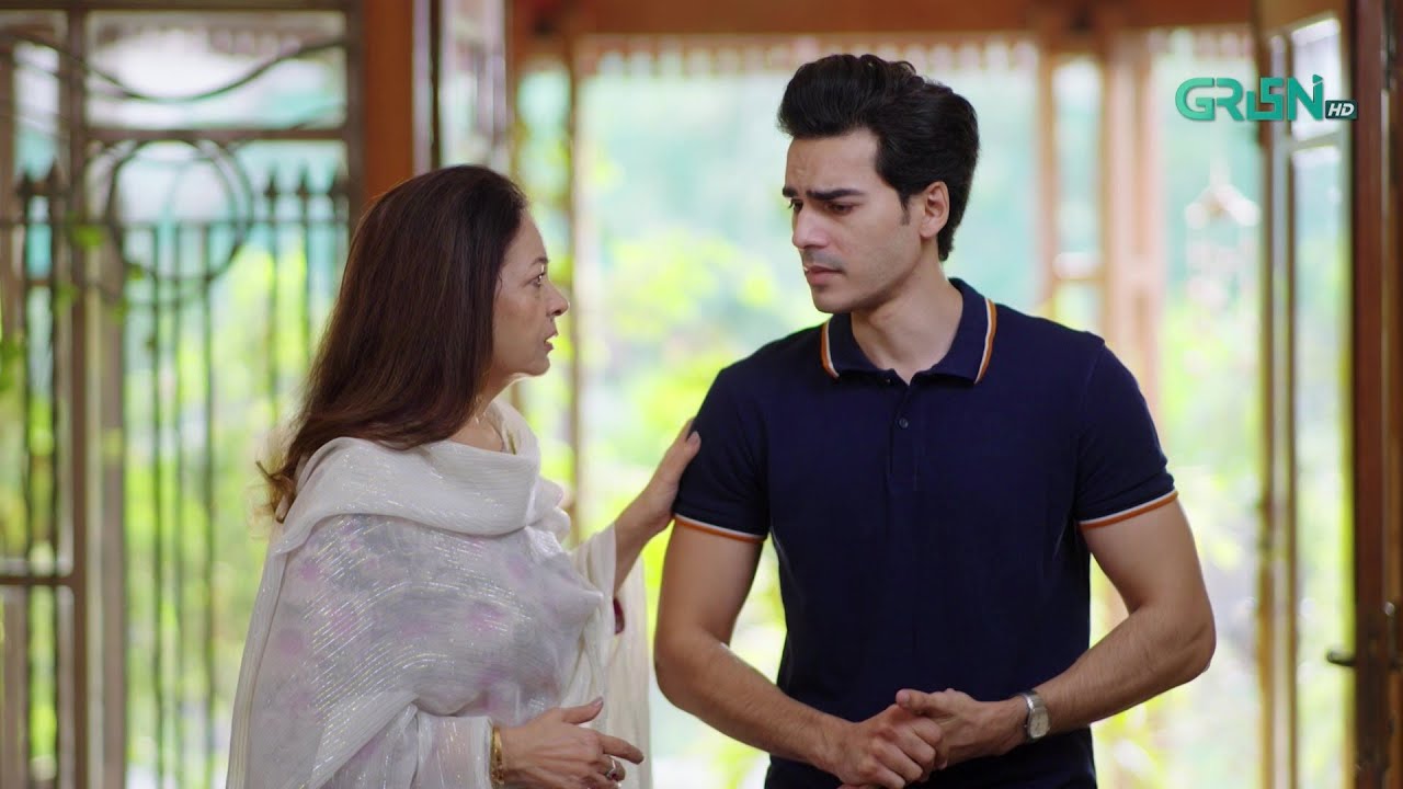 Maa Ki Izzat Tumhare Hath Mein Hai | Aik Bhool | Saniya Shamshad - Ali Abbas | Green TV