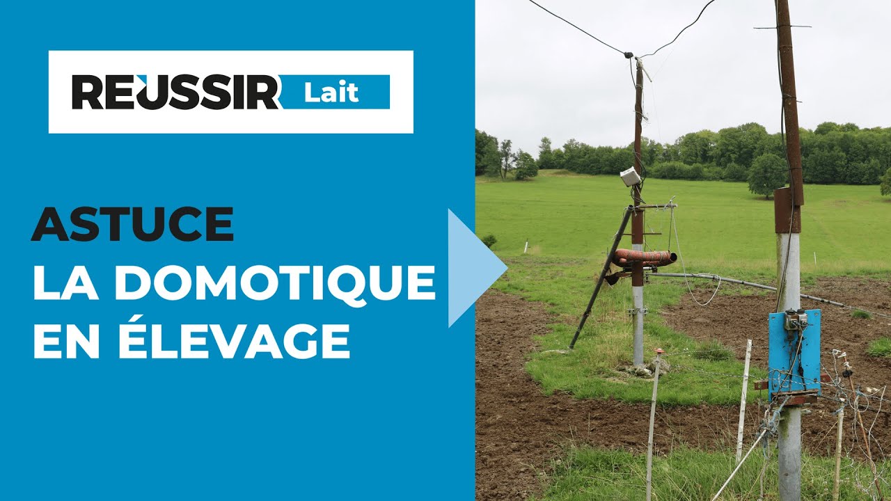 Domotique : un éleveur laitier connecté dans les Ardennes