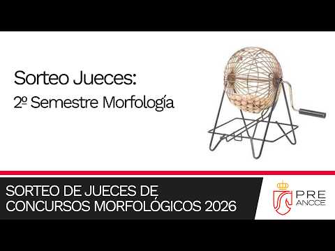 Sorteo de Jueces para el concurso del 2º Semestre de Morfología