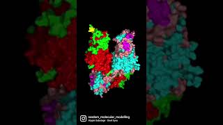 Scientists Found the 