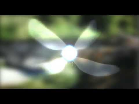 2cre8Zelda | NAVI wings test-01