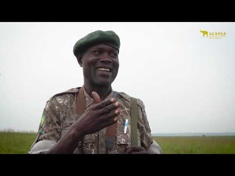 Uganda adventure safaris