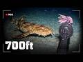 I Dropped A Camera Into The Deep Waters Of Indonesia At Midnight