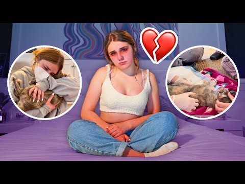 SOMETHING TERRIBLE HAPPENED TO MY CAT Ashby **Emotional Goodbye**💔| Piper Rockelle