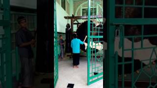 Download lagu Bedug Terbesar Di Indonesia #Al azhom #bedug #shortfyp #viral mp3