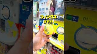 推し狙いでハンターハンター旅団編すわらせ隊ガチャやってみた