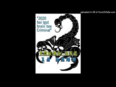Young Gee - 12 Gang 2019
